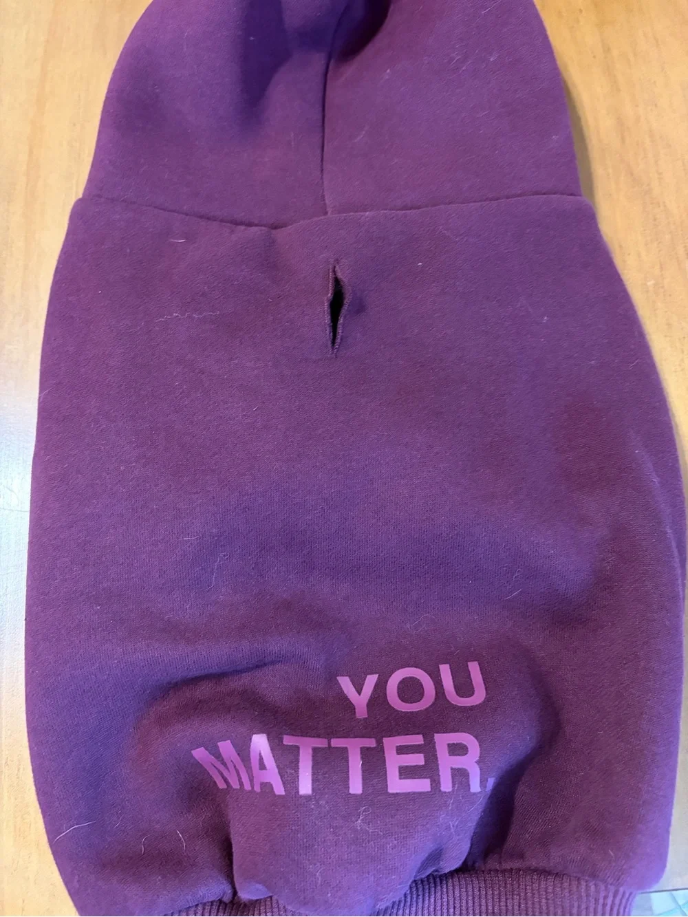Comfort Colors Plum Dog Hoodie with Hood